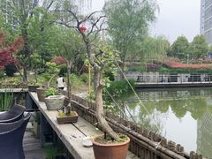-茶肆(仙林店)