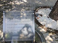 -三里河公园