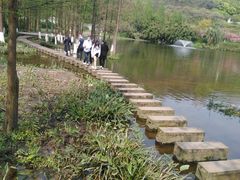 -重庆彩云湖湿地公园