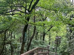 -南山植物园