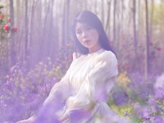 -合肥滨湖国家森林公园