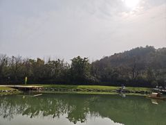 -千年银杏谷文化旅游区