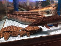 -阿伟海鲜楼·福建菜(延寿店)