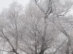 -兴安湖生态运动公园