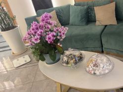 -雅曼妮spa美容养生