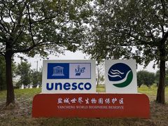 -盐城丹顶鹤湿地生态旅游区
