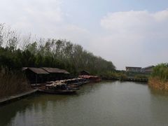 湿地公园-溱湖国家湿地公园