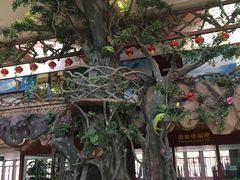 -呀诺达热带雨林