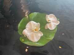 -南京金陵饭店