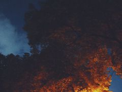 -忠山公园