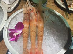 -蟹将军·松叶蟹和牛日料放题自助(K11店)