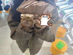 -仪征宝能环球汇
