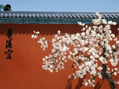 -华清宫景区