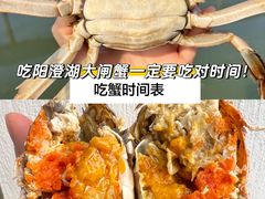 -阳澄湖半岛旅游度假区