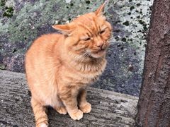 -华山风景名胜区