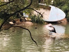 -费瑟代尔野生动物园