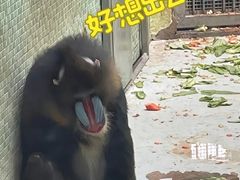 -太原动物园