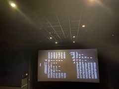 -万达影城(开福万达广场IMAX店)