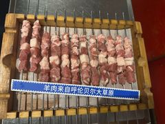 呼伦贝尔羊肉串-很久以前羊肉串(农科路店)