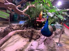 -正佳雨林生态植物园