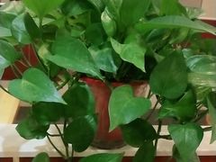 -小六汤包砂煲菜(文景路店)