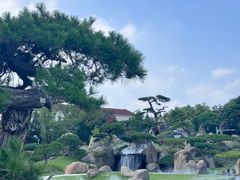 -罗红摄影艺术馆