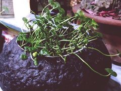 -手拉手美食(清河路店)