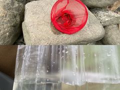 -苏州东太湖生态园