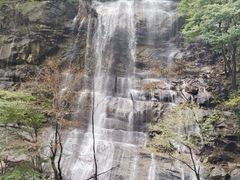 -陕西省红河谷森林公园