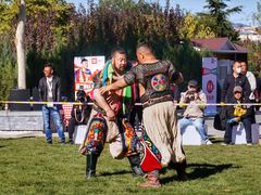 -九十九顶毡房(阜石路店)