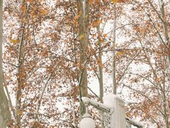 -河南省黄河迎宾馆