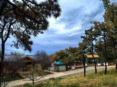 -北京西山国家森林公园