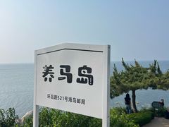 -养马岛旅游度假区
