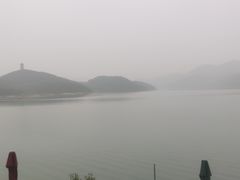 -望湖烤鱼
