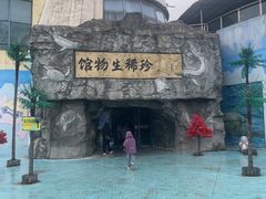 -芜湖新华联大白鲸海洋公园