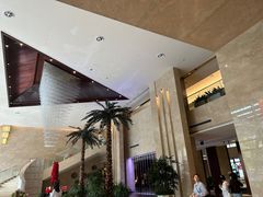 -常州环球恐龙城维景国际大酒店