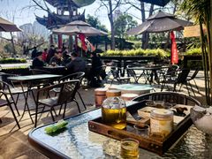 -MAP CHA普洱茶馆(翠湖店)