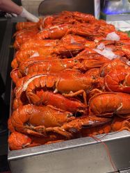 -Oasis Beauty水磨坊科技美肤中心