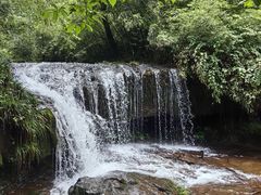 -龙苍沟森林公园