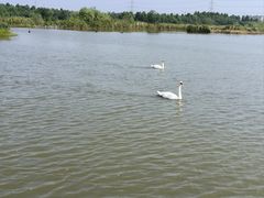 -宁波杭州湾国家湿地公园
