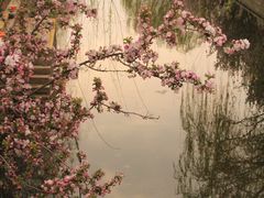 -海棠花溪(元大都城垣遗址公园)