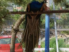 -羊亭河湿地公园