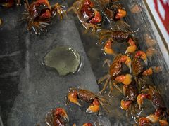 -青石桥花鸟鱼虫市场(叠翠城店)