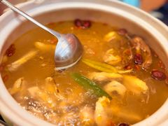 五指毛桃石橄榄鸡煲-金龙·打边炉(南京西路店)