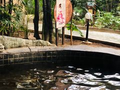 -龙达温泉生态城