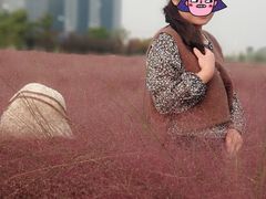 -映月湖中央公园