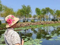 -无锡蠡湖国家湿地公园-蠡园