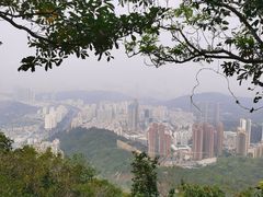 -梧桐山风景名胜区