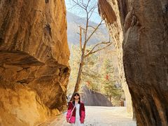 -秦岭终南山世界地质公园翠华山景区