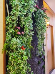 -芳朵美容养生SPA